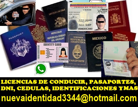 LICENCIA DE CONDUCIR, DNI, VISA, PASAPORTES Y MAS